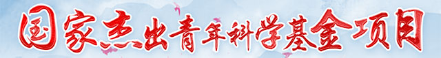 中国高层次人才计划——杰出青年科学基金