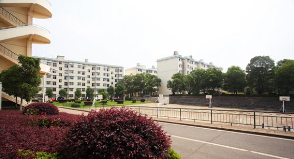 单招进行时,湖南科技职业学院新开设移动商务