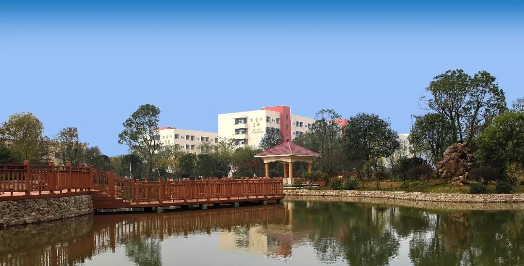 速看!湖南外贸职业学院2021单独招生简章发布