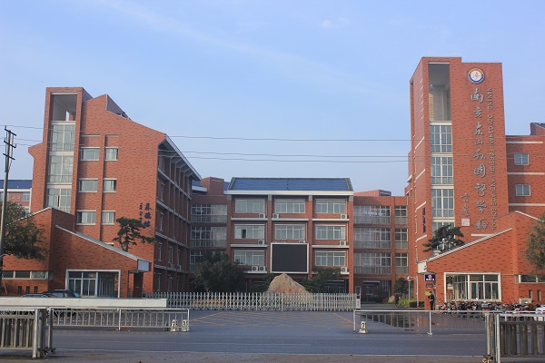 "从素出发,以养为道"南京东山外国语学校王涛主任访谈