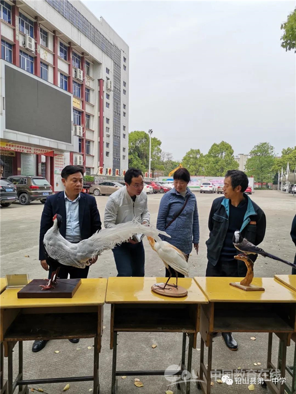 讲座伊始,曾老师首先主持了武夷山自然保护区,江西观鸟会向铅山一中