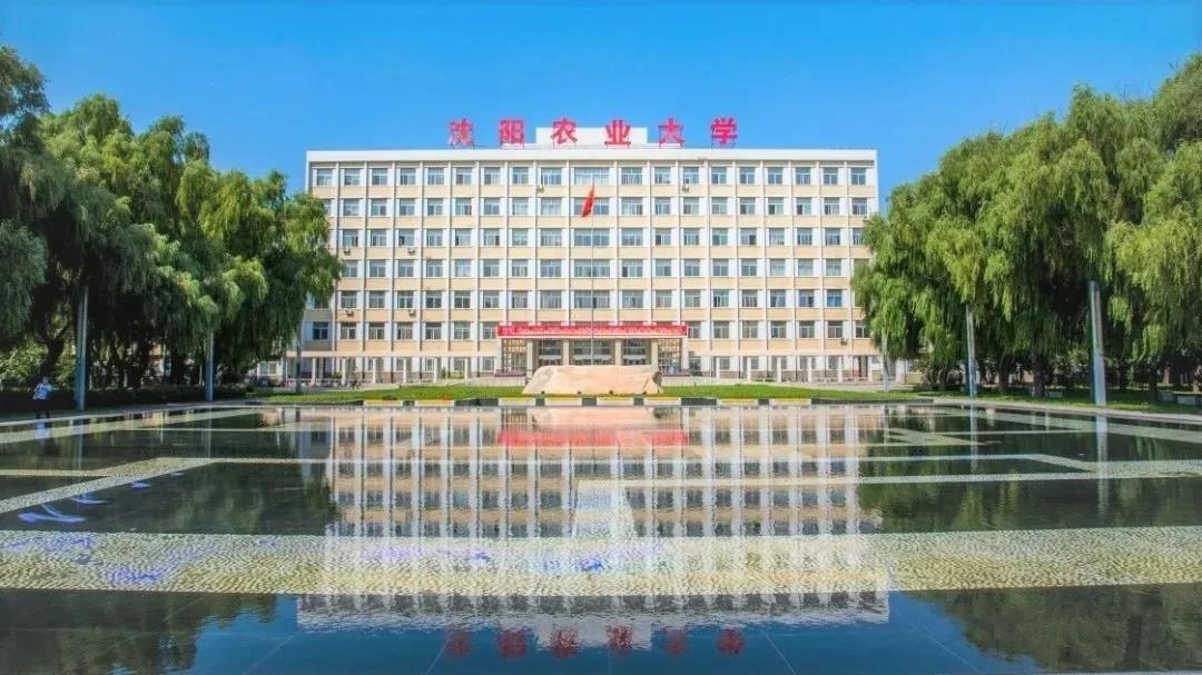 沈农有什么最新的招生政策? 什么是大类分流专业?