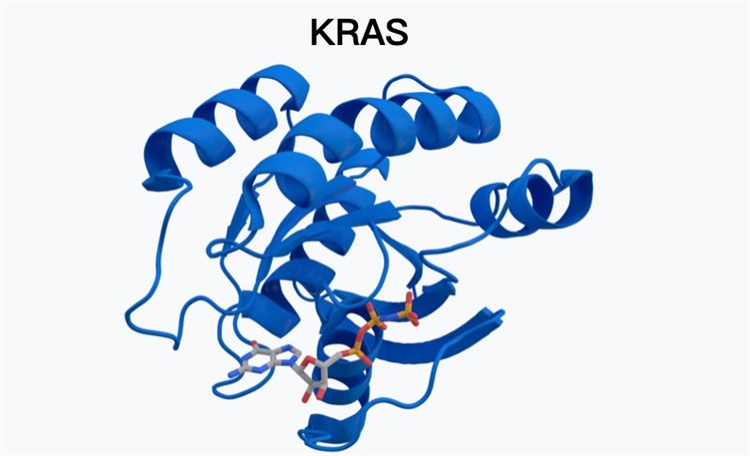 华东师大研究揭示KRAS突变肺腺癌的代谢