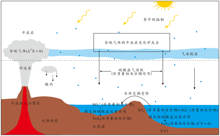 中国科学技术大学揭示奥陶纪末生命大灭绝新机制