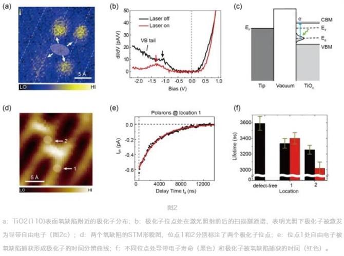 YYVIP易游扫描电镜的操作方法及实操详解终于来了！一文教你搞懂扫描电镜！