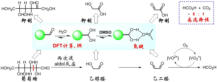 西安交通大学科研人员在生物质高效制备甲酸机理与应用研究中取得新