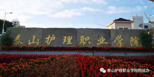 泰山护理职业学院2021年高职(专科) 单独招生和综合评价招生章程