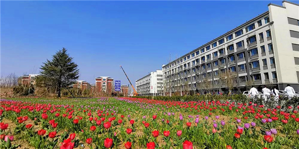 权威资讯齐鲁医药学院2019年单独招生章程发布