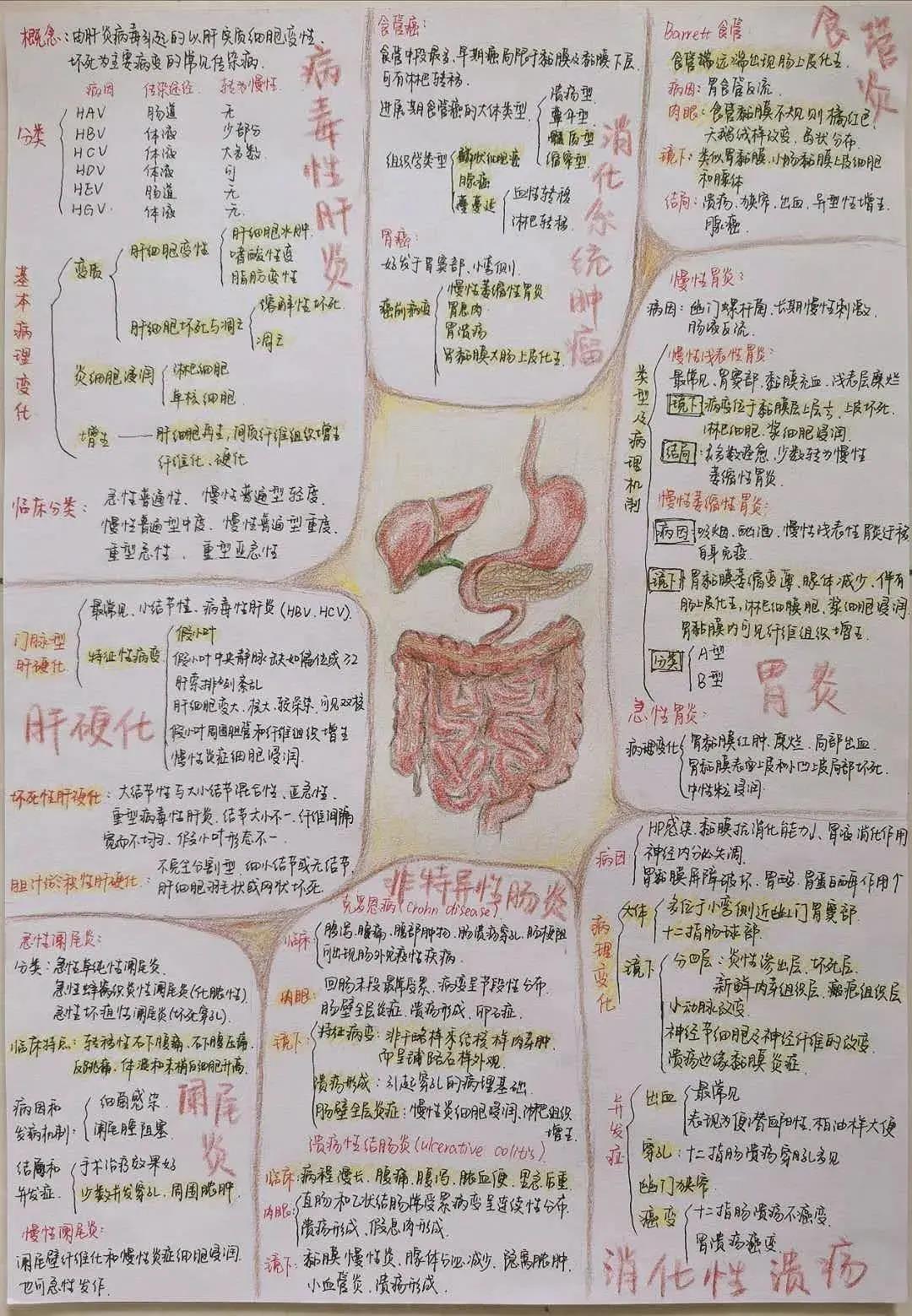 脑洞大开且看潍坊医学院临床医学院医学生的思维导图