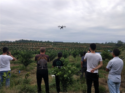 农院飞客科技服务之---眉山柑橘行