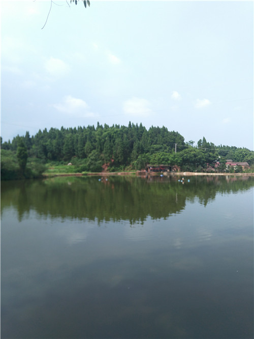 践行乡村振兴事业,建设美丽新农村