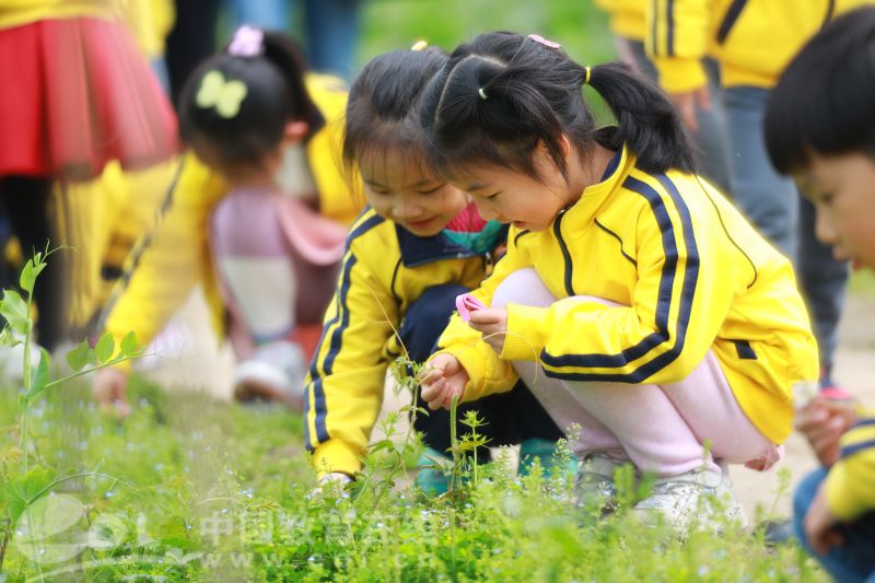 杭州市星辰幼儿园朝四园区开展八卦田春游活动