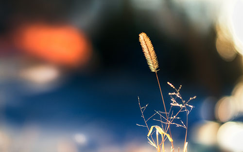 泽普开放大学招生报名官网网址是什么？