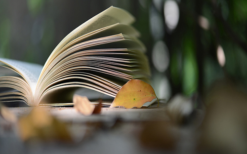 通辽开放大学的地址在哪里？