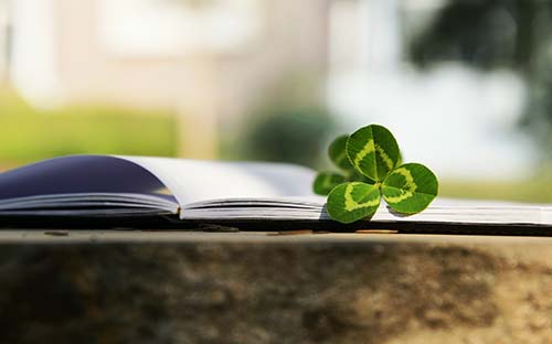 阳江开放大学学费多少钱? 阳江开放大学学费多少钱?