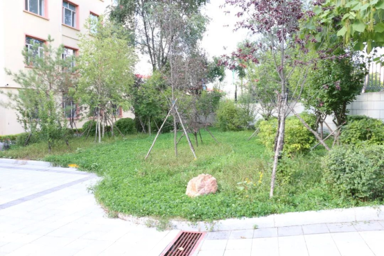 白山开放大学2022年秋季招生简章