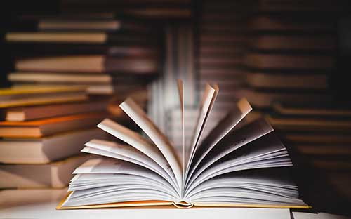 国开有数据科学与大数据技术这个专业吗？