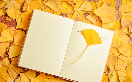 乐山考研需要报辅导机构吗? 乐山考研需要报辅导机构吗?