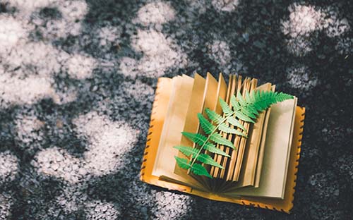 重庆自考如何提升自己的学历？