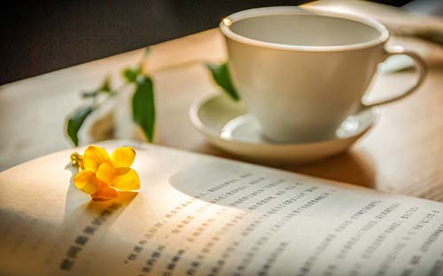 温州个人自考培训机构哪家好? 温州个人自考培训机构哪家好?