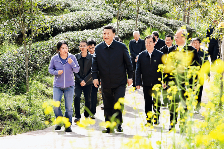 习近平：把握新发展阶段，贯彻新发展理念，构建新发展格局