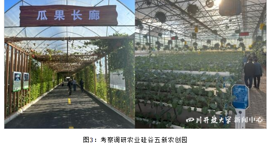 乡村振兴学院受邀参加首届乡村振兴西昌论坛 乡村振兴学院受邀参加首届乡村振兴西昌论坛