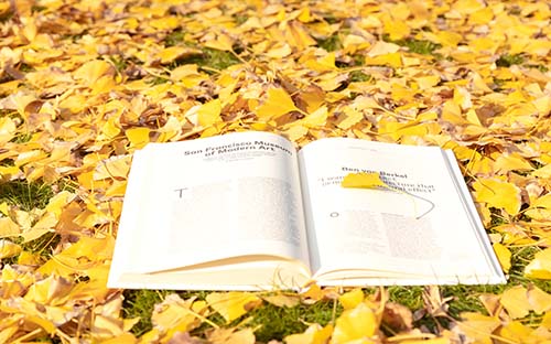 自学考试艺术类专业有哪些?