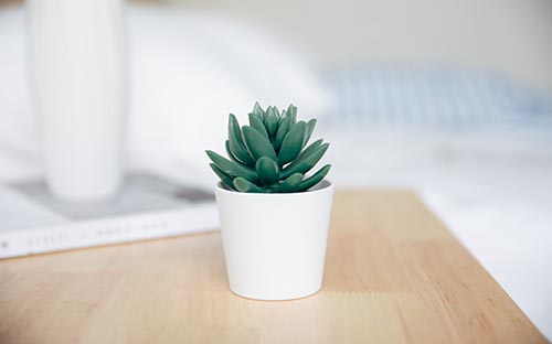 成人高考有入学考试吗? 成人高考有入学考试吗?