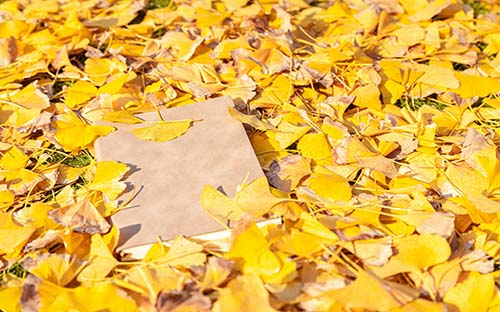 吕梁汾阳开放大学学历国家承认吗？