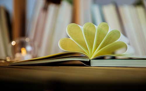 东明开放大学选什么专业实用？