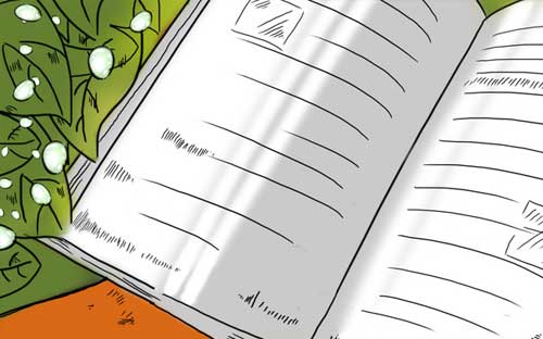 深圳罗湖开放大学怎么样？