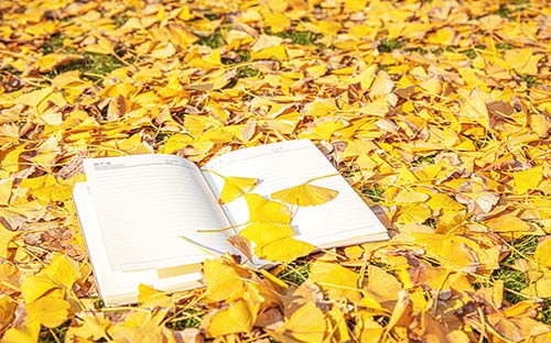 巨野开放大学怎么样？