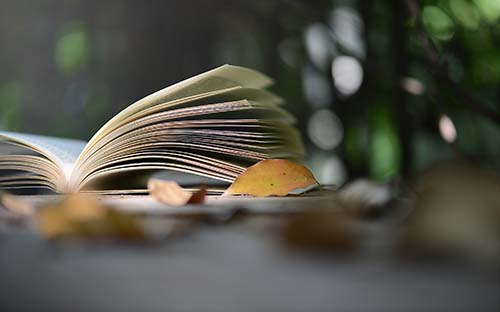 自考英语二的题型有哪些?