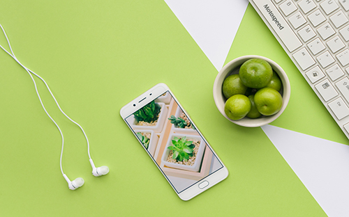 成人高考大专商务英语考什么科目？