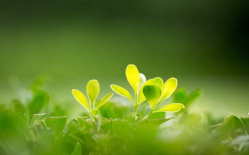 自考实践环节考核课程的报考条件是什么?