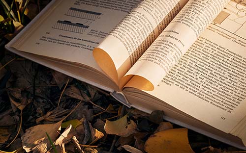 河北成人高考多少分能上线? 河北成人高考多少分能上线?