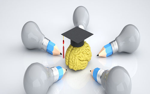 成人高考本科怎么报名? 成人高考本科怎么报名?