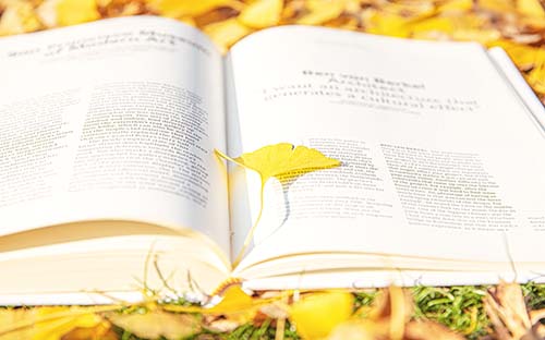 成人自考怎么学习比较好？