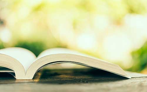 成人高考什么时候开始报名? 成人高考什么时候开始报名?