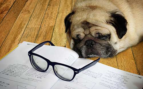 成人高考最低录取分数线是什么意思? 成人高考最低录取分数线是什么意思?