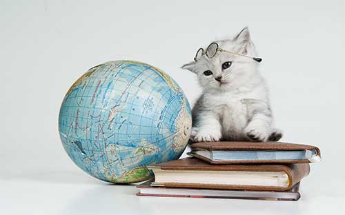 私立学校会承认成考本科学历吗？