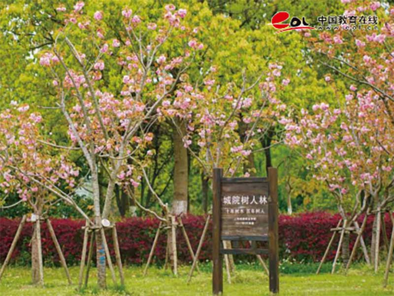 上海城建职业学院继续教育学院校园风光