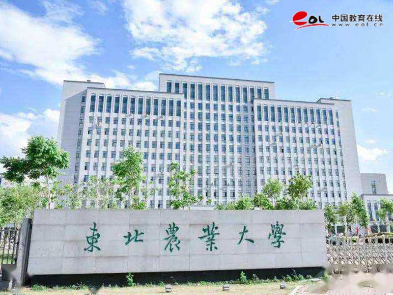 学校校园风光