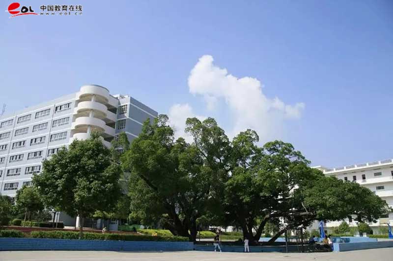 学校校园风光