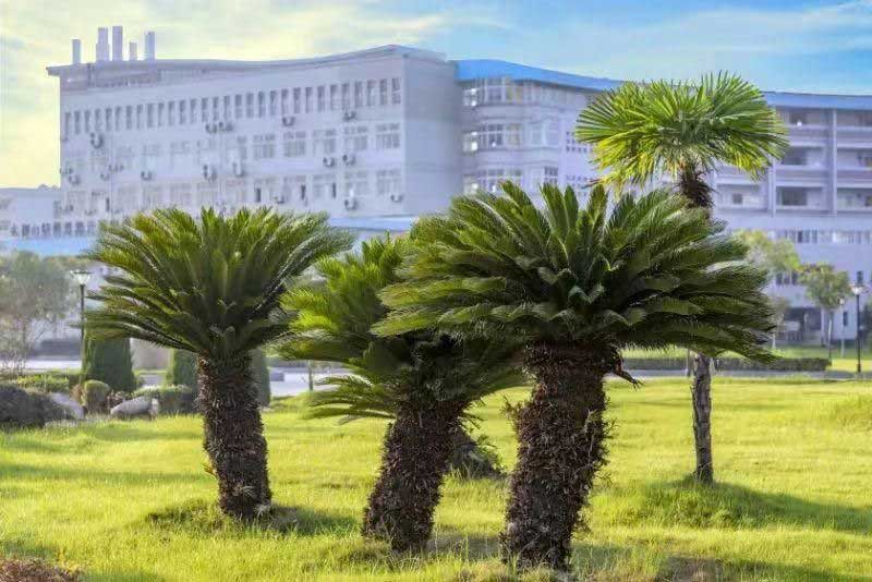 黄冈师范学院继续教育学院校园风光