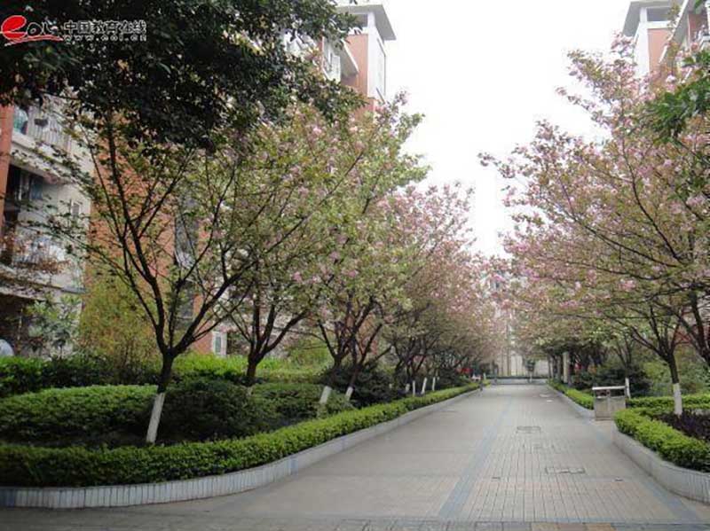重庆开放大学校园风光