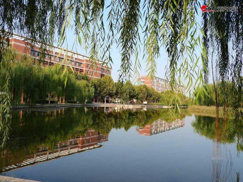 学校校园风光