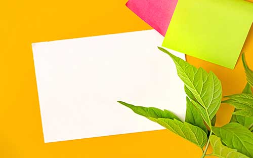 广西成人高考有哪些学校可以选择? 广西成人高考有哪些学校可以选择?