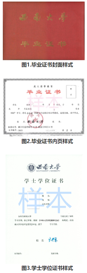 西南大学高等学历继续教育2025年招生简章