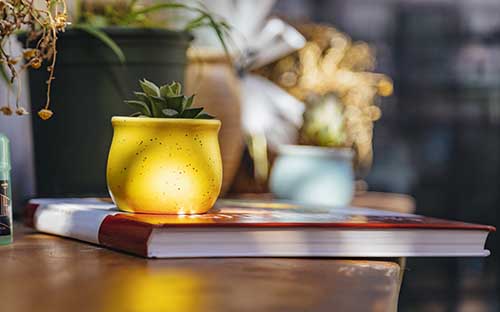 湖北自考报名平台有什么？学历好不好？